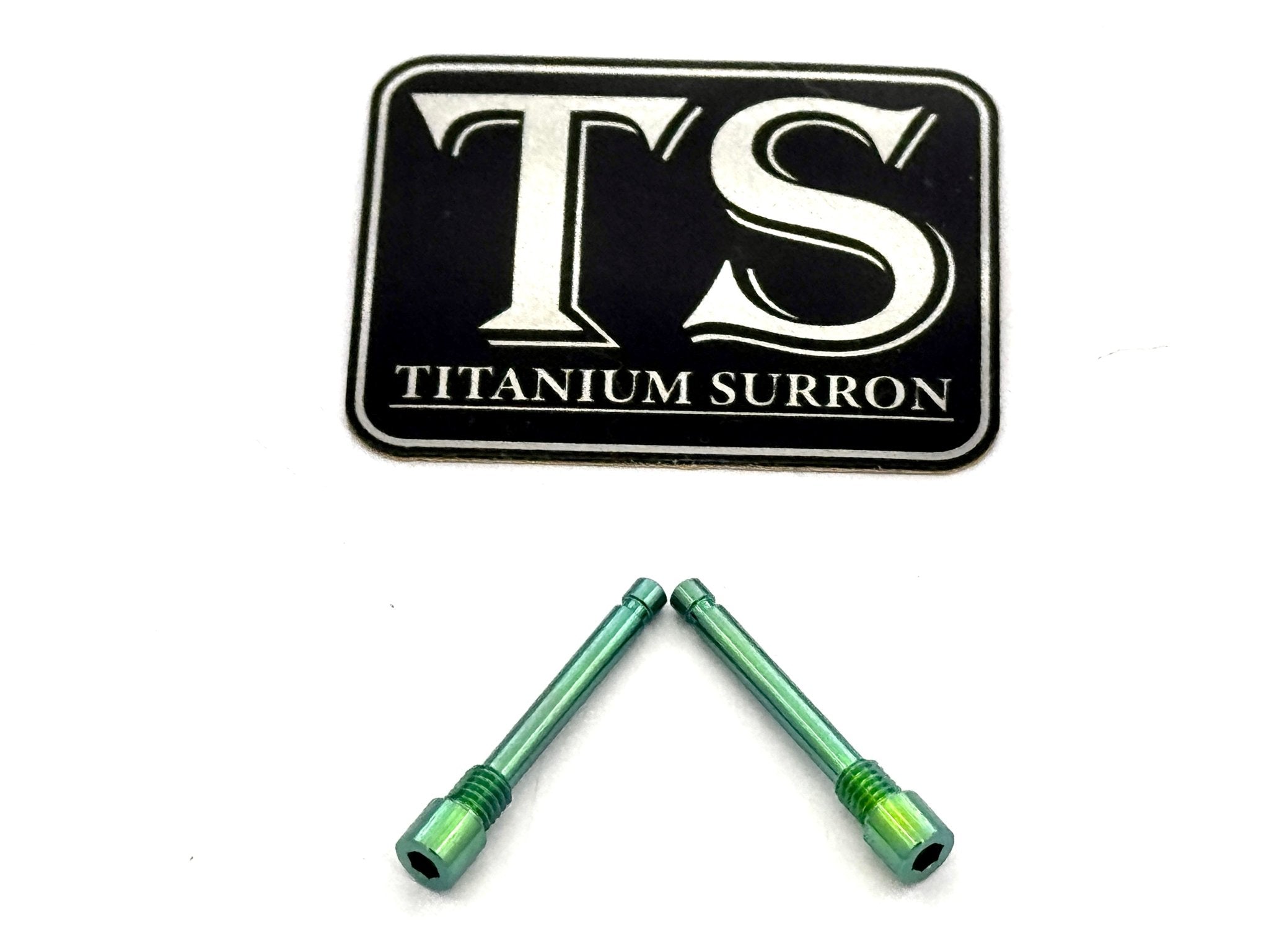 Brake-Pad Screws/ Pins - E-moto (set of two)