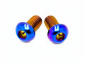 Formula Brake Reservoir Cap Titanium Bolts